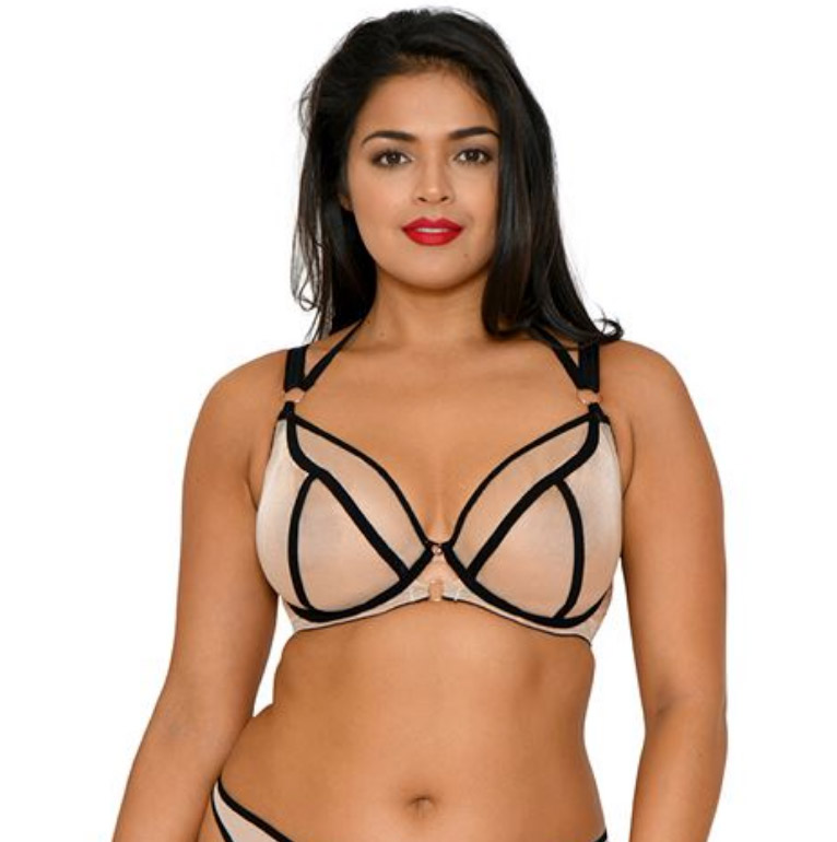 Knock Out Plunge Bra